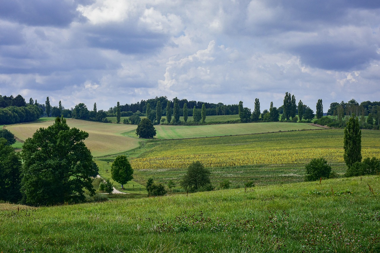 The longère farmhouse